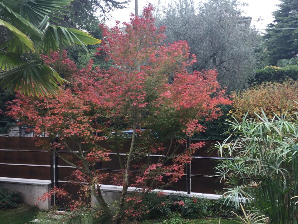 Villa Arzilla Desenzano del Garda Esterno foto